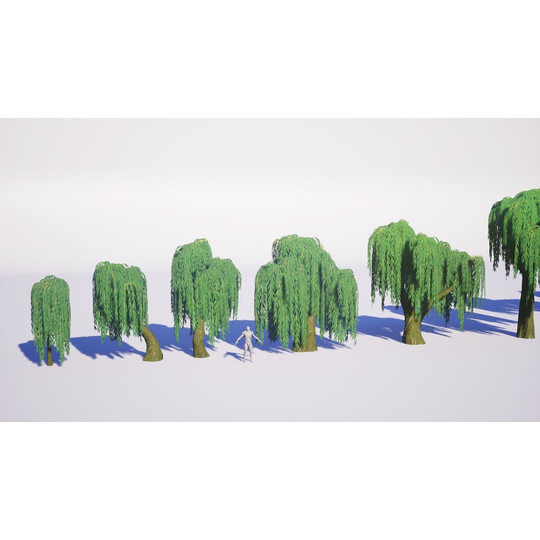Willow Trees 3D Model – Low Poly Game Ready Asset, FBX - View 4