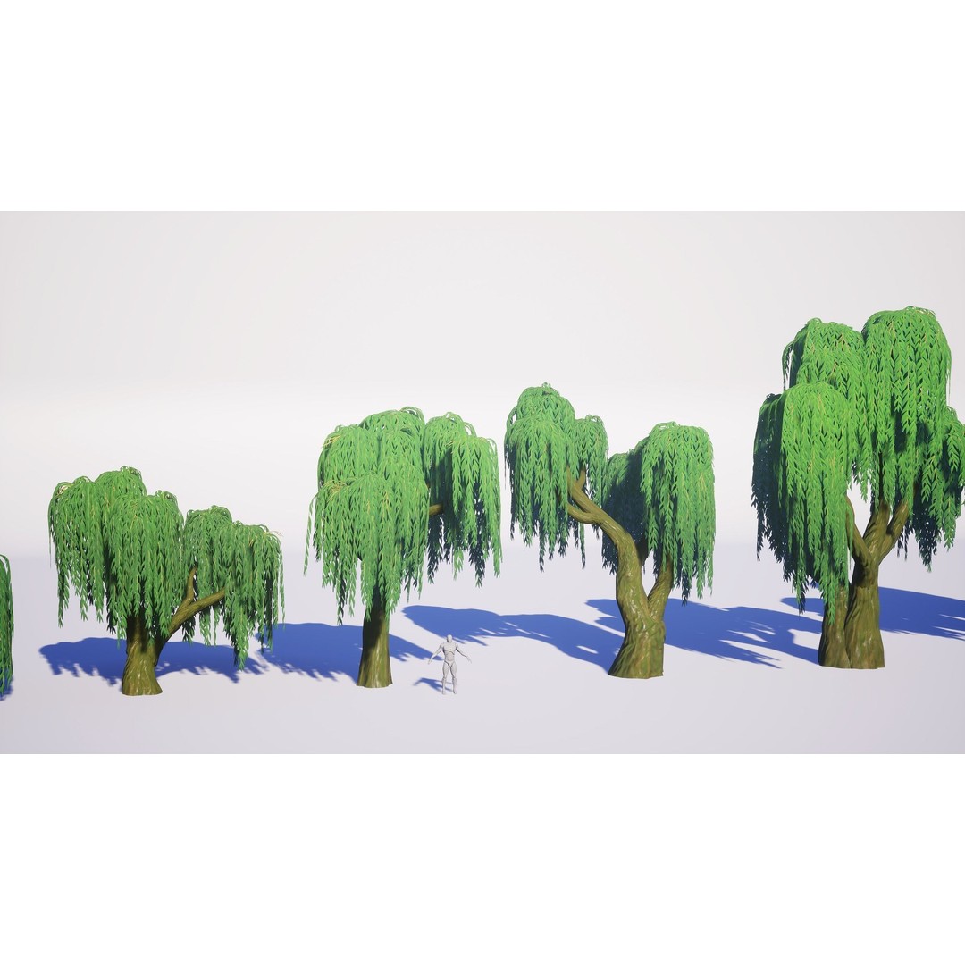 Willow Trees 3D Model – Low Poly Game Ready Asset, FBX - View 5