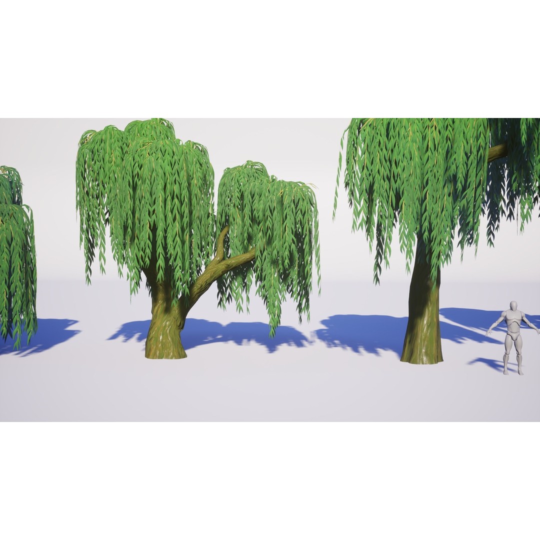 Willow Trees 3D Model – Low Poly Game Ready Asset, FBX - View 9