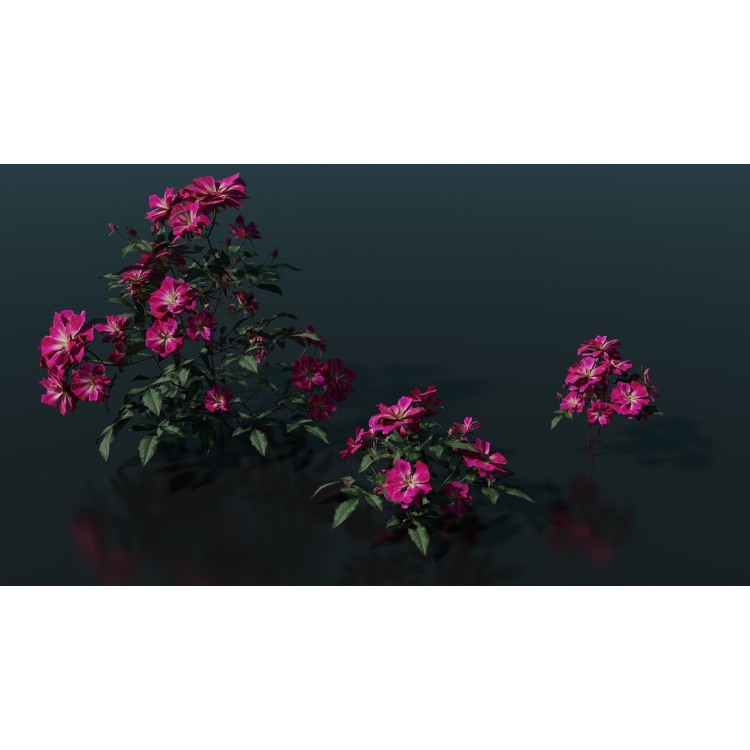Pink Rose 3D Model – Low Poly Game Asset, PBR Textures, Blender, FBX - View 11