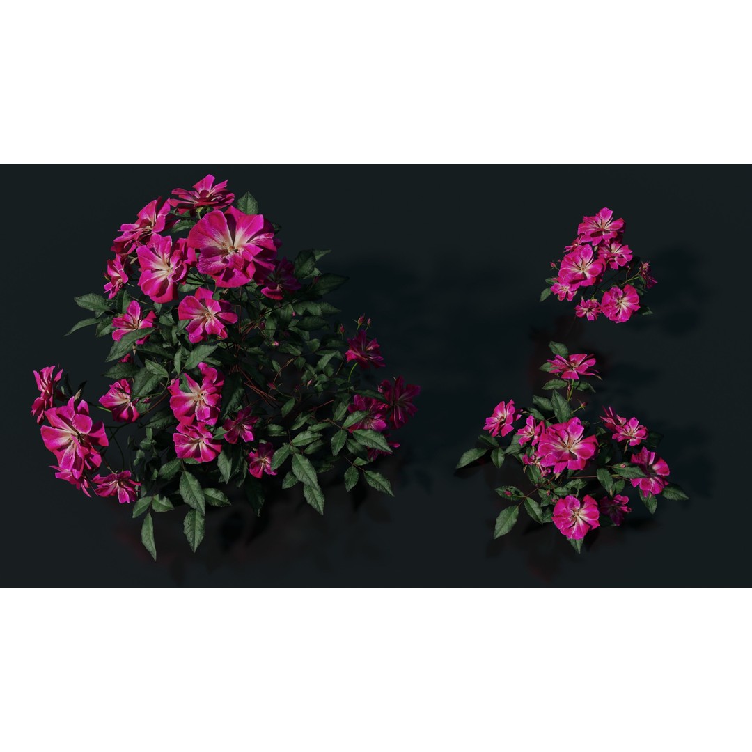 Pink Rose 3D Model – Low Poly Game Asset, PBR Textures, Blender, FBX - View 12