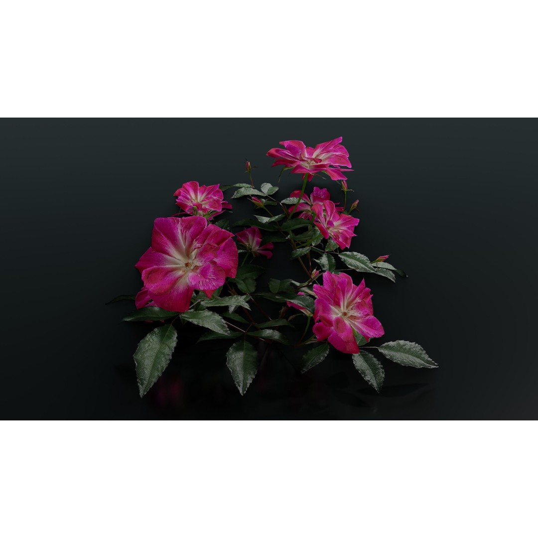 Pink Rose 3D Model – Low Poly Game Asset, PBR Textures, Blender, FBX - View 13