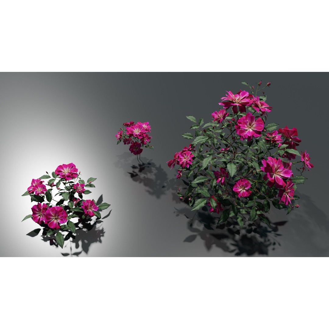 Pink Rose 3D Model – Low Poly Game Asset, PBR Textures, Blender, FBX - View 3