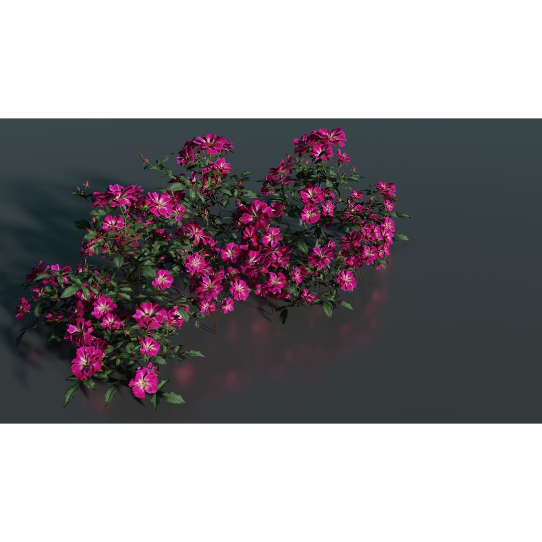 Pink Rose 3D Model – Low Poly Game Asset, PBR Textures, Blender, FBX - View 5