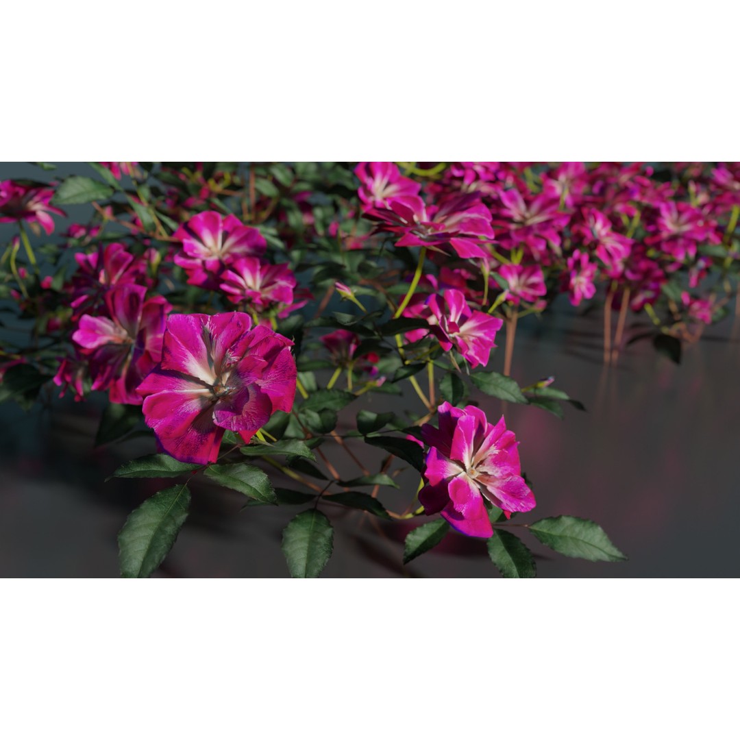 Pink Rose 3D Model – Low Poly Game Asset, PBR Textures, Blender, FBX - View 7