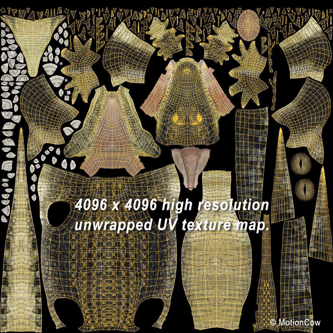 Alligator 3D Model – Realistic Rigged Asset, FBX, Game Ready