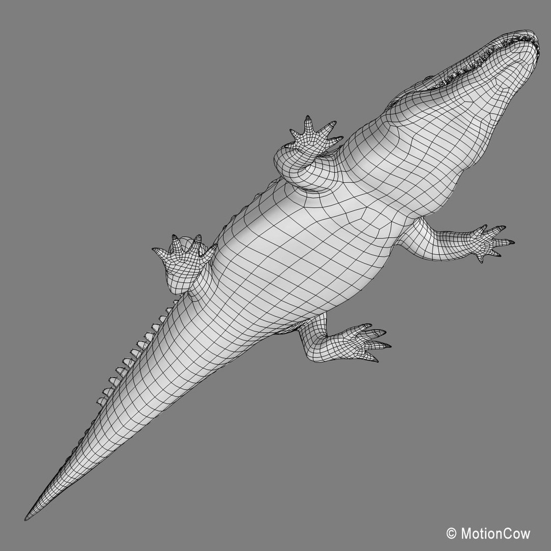 Alligator 3D Model – Realistic Rigged Asset, FBX, Game Ready - View 25