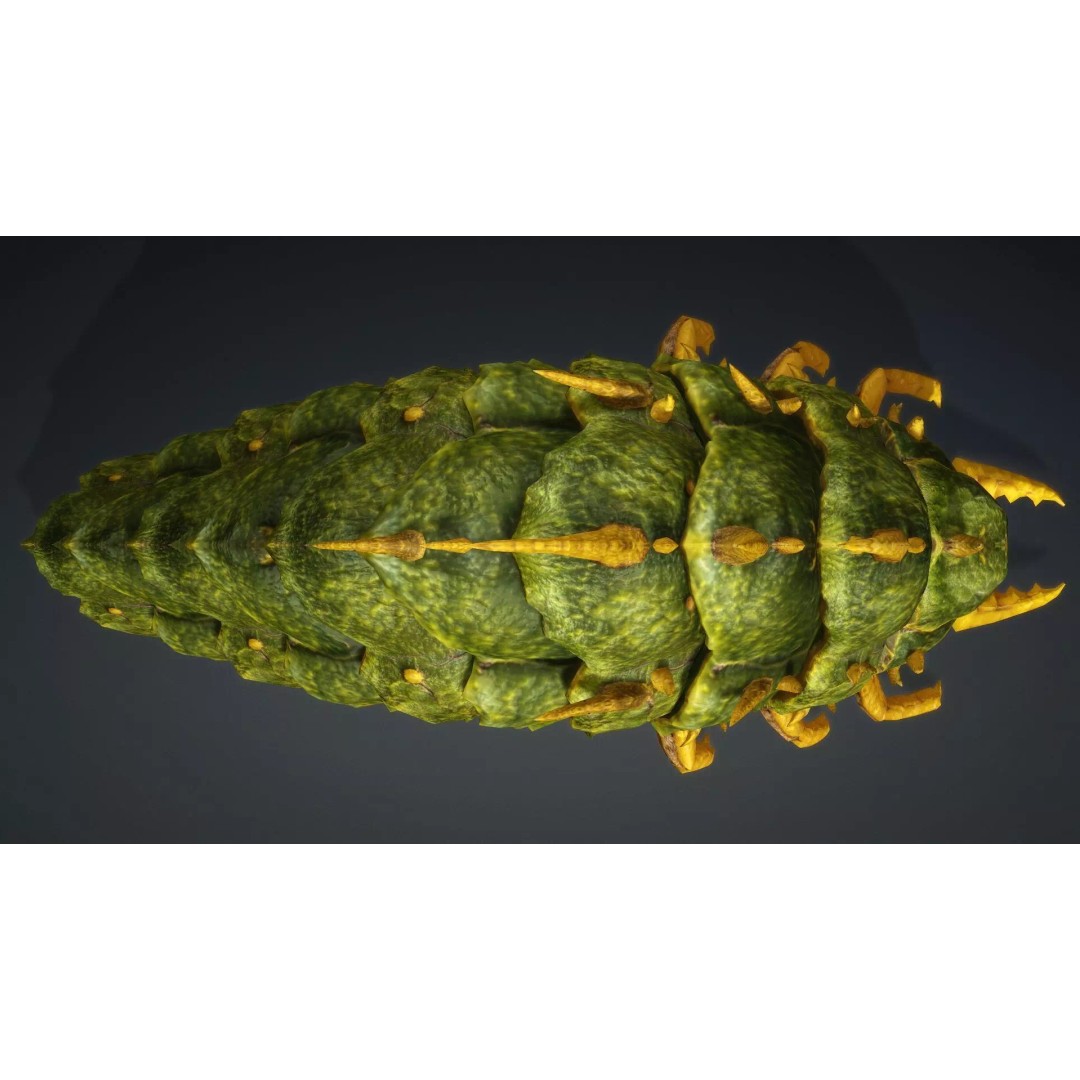 Larval 3D Model – Animated Rigged Insect Asset, PBR Textures - View 10
