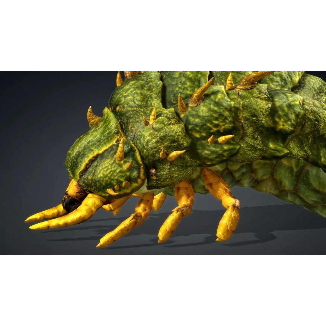 Larval 3D Model – Animated Rigged Insect Asset, PBR Textures - View 9
