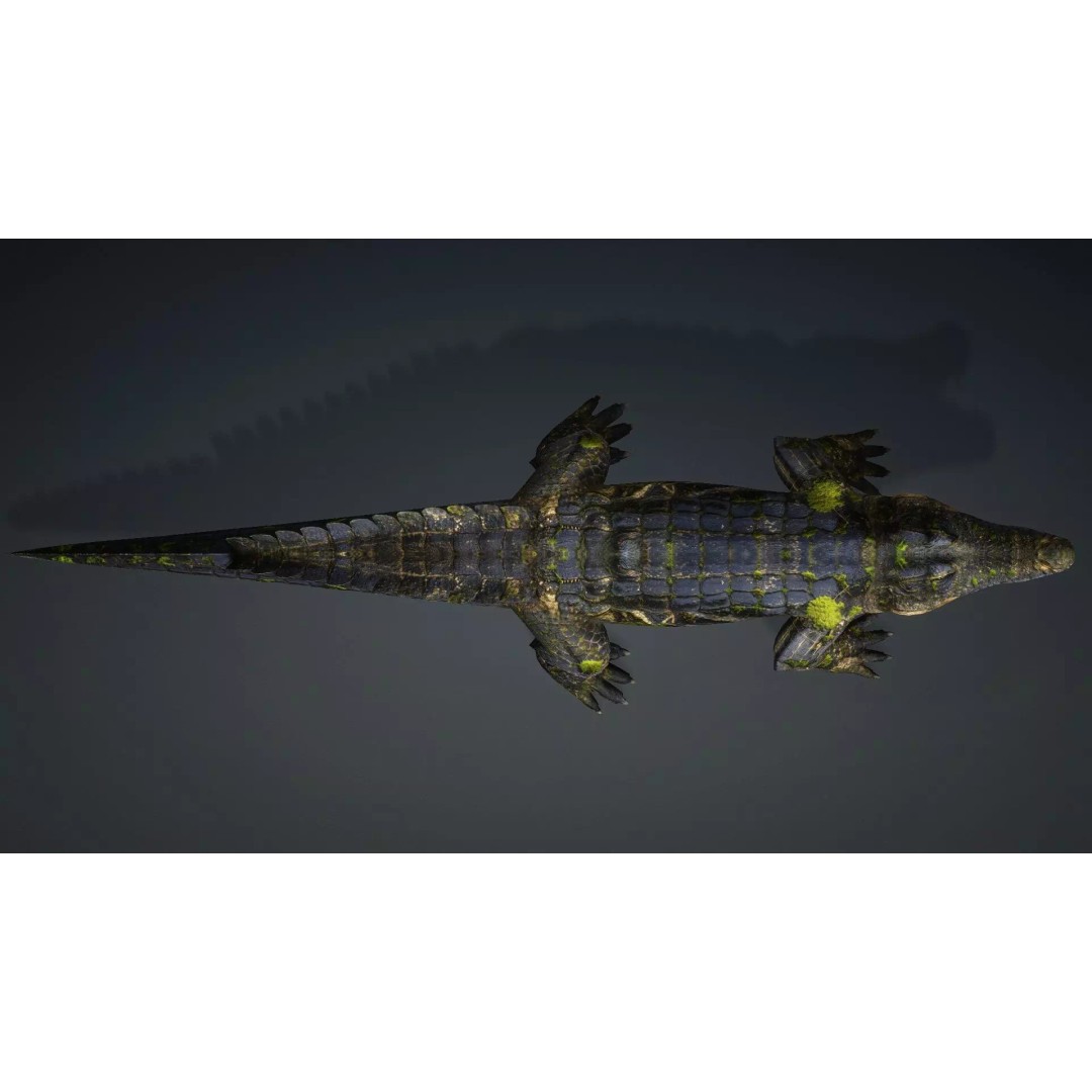 Crocodile 3D Model – Animated Rigged Creature, FBX, Blender - View 12