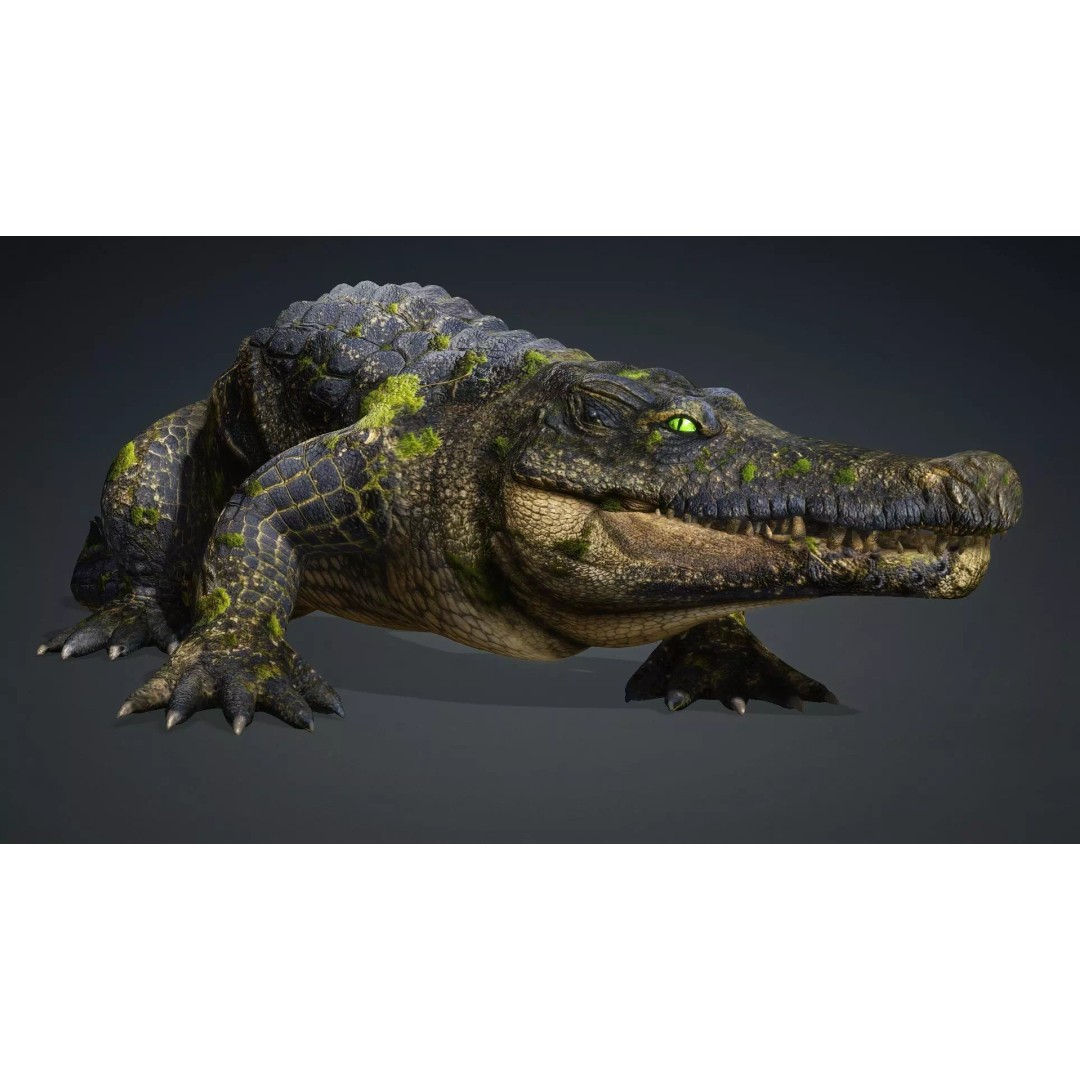 Crocodile 3D Model – Animated Rigged Creature, FBX, Blender - View 15