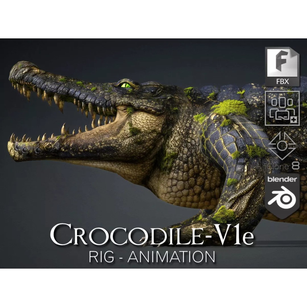 Crocodile 3D Model – Animated Rigged Creature, FBX, Blender - View 2
