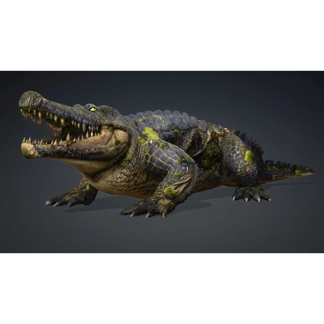 Crocodile 3D Model – Animated Rigged Creature, FBX, Blender - View 3
