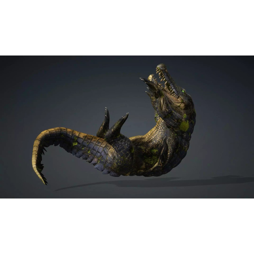 Crocodile 3D Model – Animated Rigged Creature, FBX, Blender - View 6