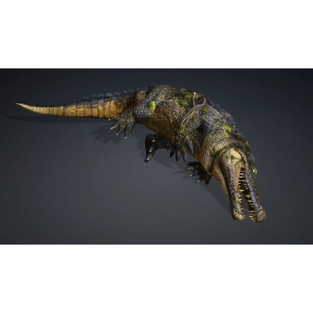 Crocodile 3D Model – Animated Rigged Creature, FBX, Blender - View 8