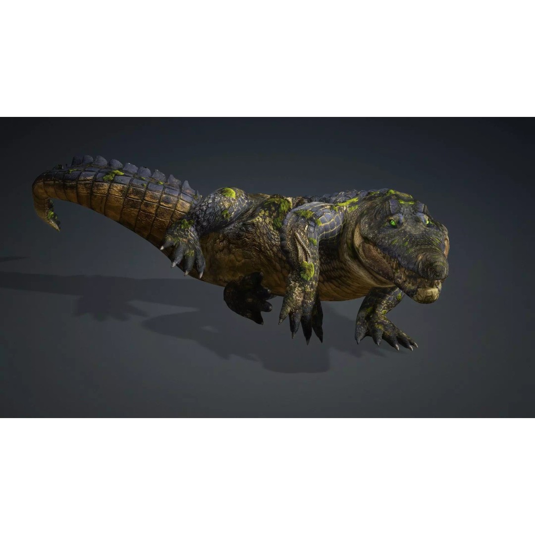 Crocodile 3D Model – Animated Rigged Creature, FBX, Blender - View 9