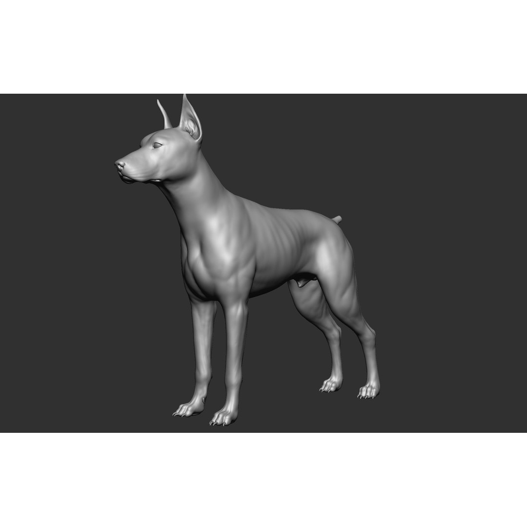 Dog Breed Collection 3D Model – Realistic Animal Pack, OBJ & ZTL