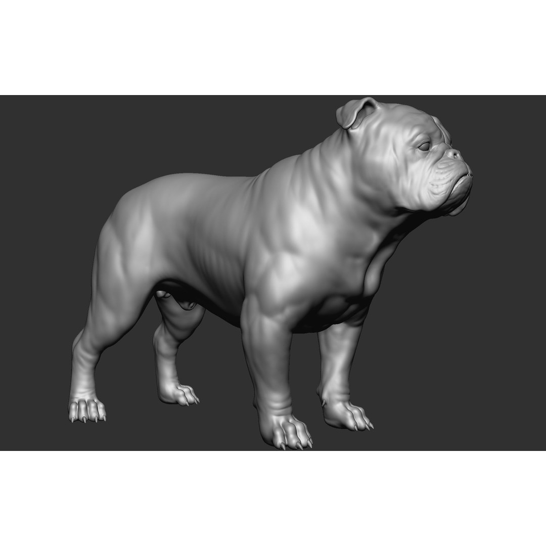 Dog Breed Collection 3D Model – Realistic Animal Pack, OBJ & ZTL - View 10