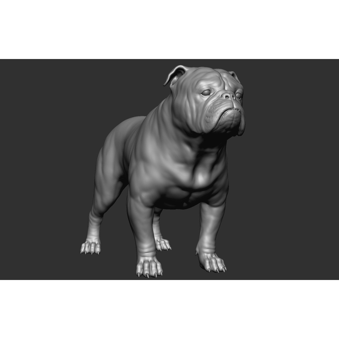 Dog Breed Collection 3D Model – Realistic Animal Pack, OBJ & ZTL - View 11