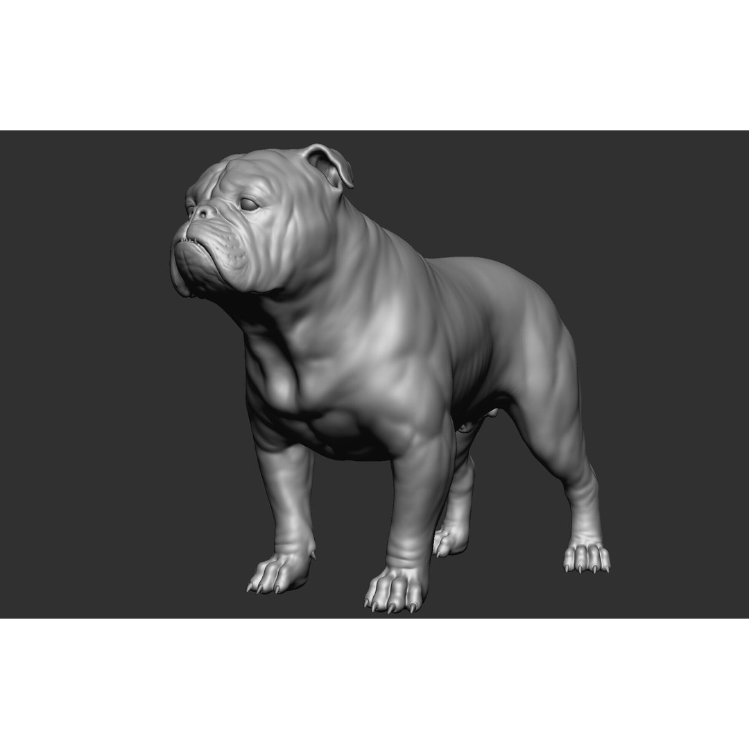 Dog Breed Collection 3D Model – Realistic Animal Pack, OBJ & ZTL - View 12