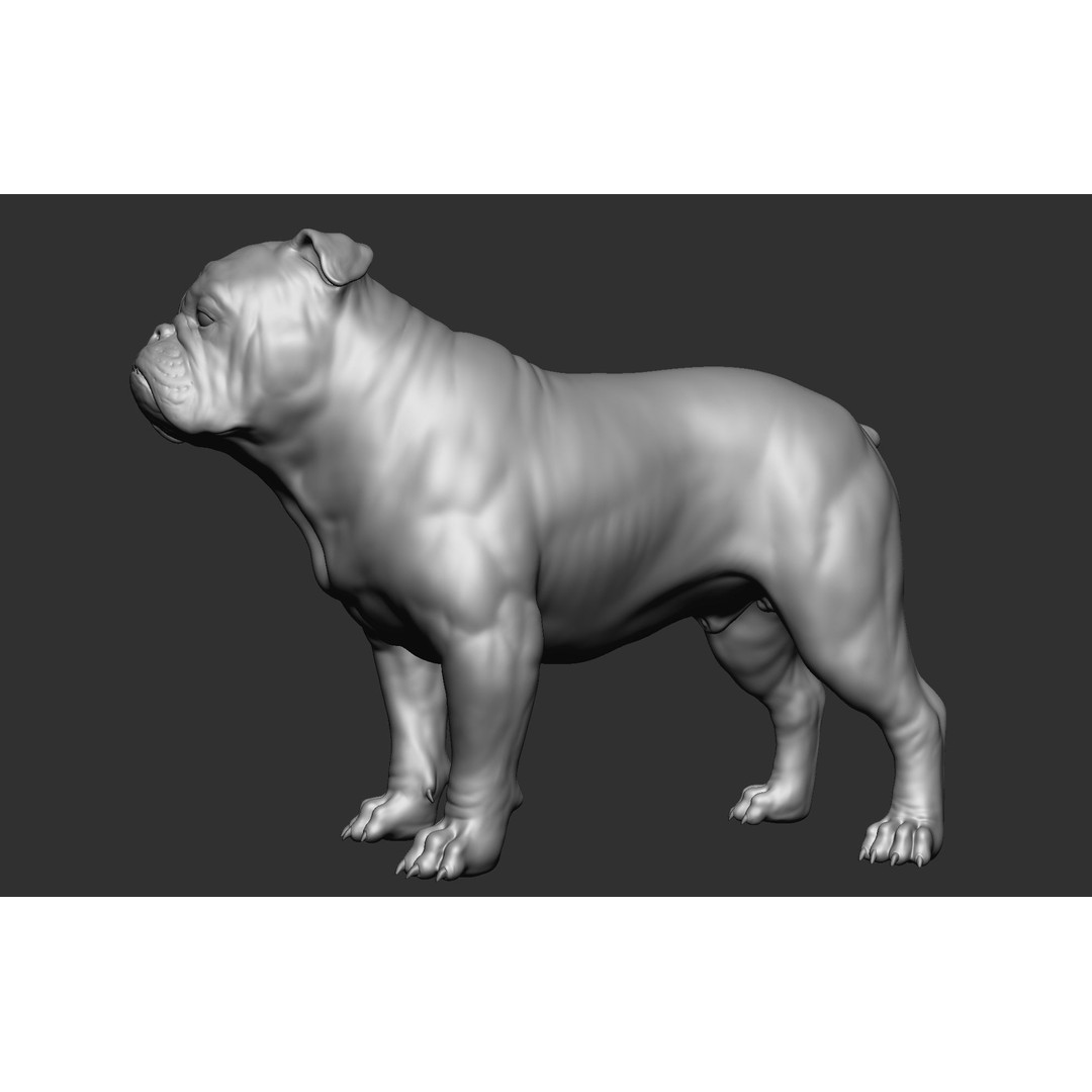 Dog Breed Collection 3D Model – Realistic Animal Pack, OBJ & ZTL - View 13