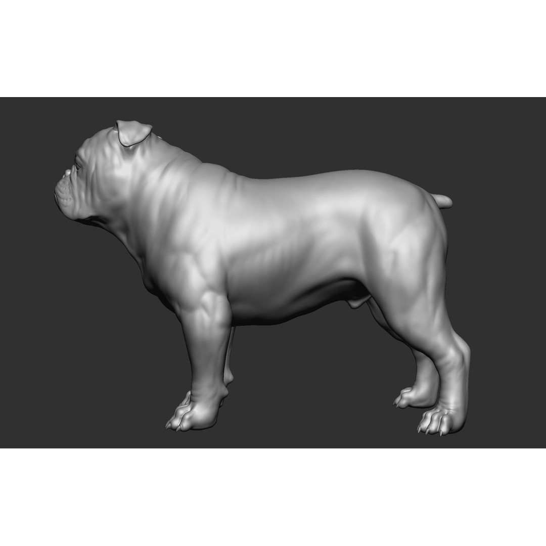 Dog Breed Collection 3D Model – Realistic Animal Pack, OBJ & ZTL - View 14