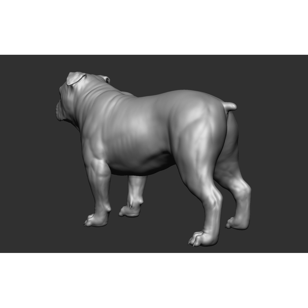 Dog Breed Collection 3D Model – Realistic Animal Pack, OBJ & ZTL - View 15