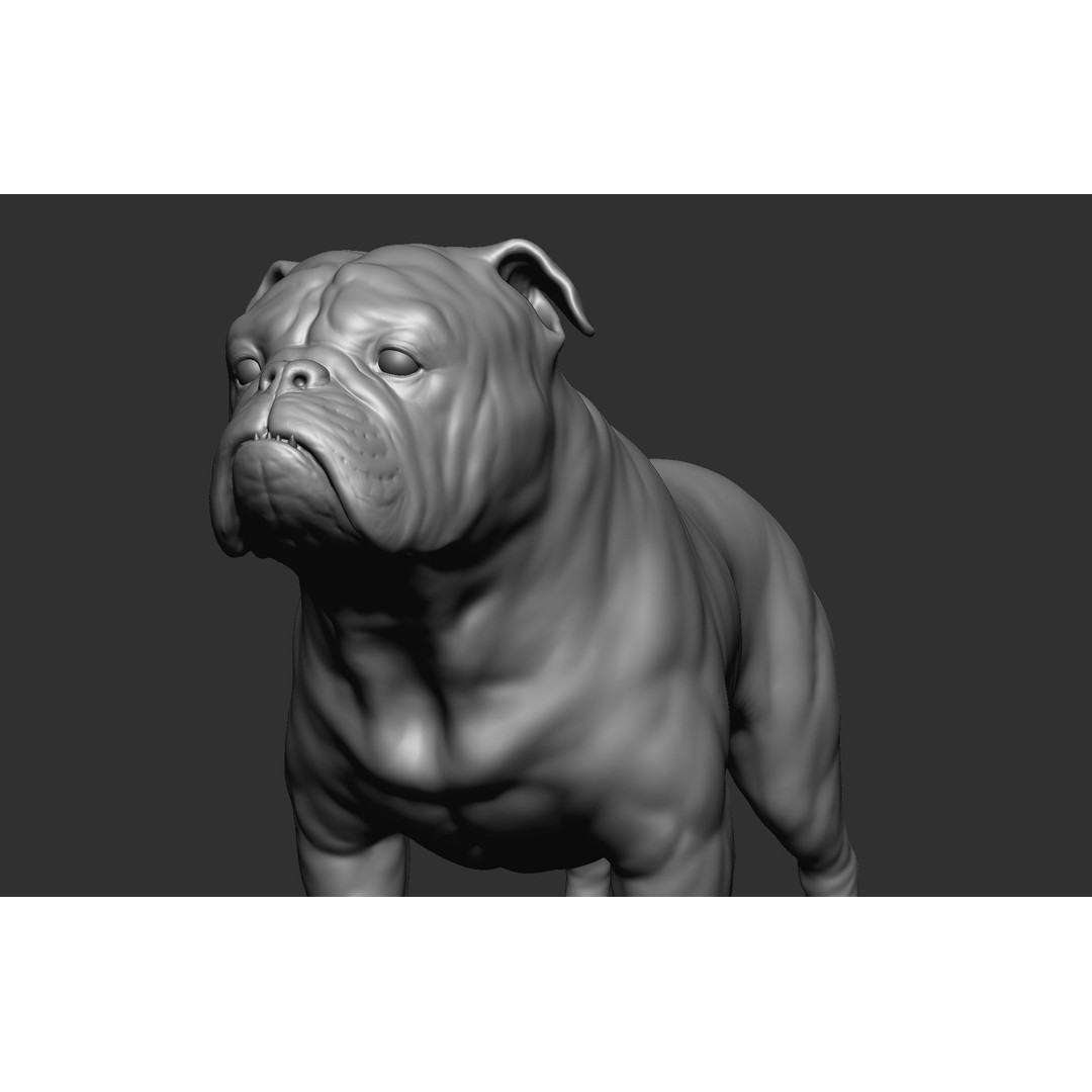 Dog Breed Collection 3D Model – Realistic Animal Pack, OBJ & ZTL - View 16