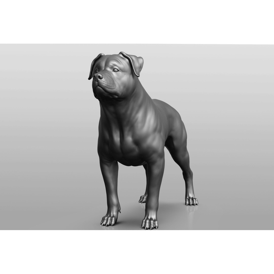 Dog Breed Collection 3D Model – Realistic Animal Pack, OBJ & ZTL - View 19
