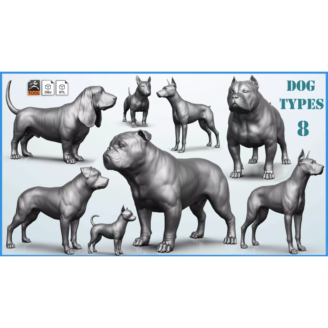 Dog Breed Collection 3D Model – Realistic Animal Pack, OBJ & ZTL - View 2