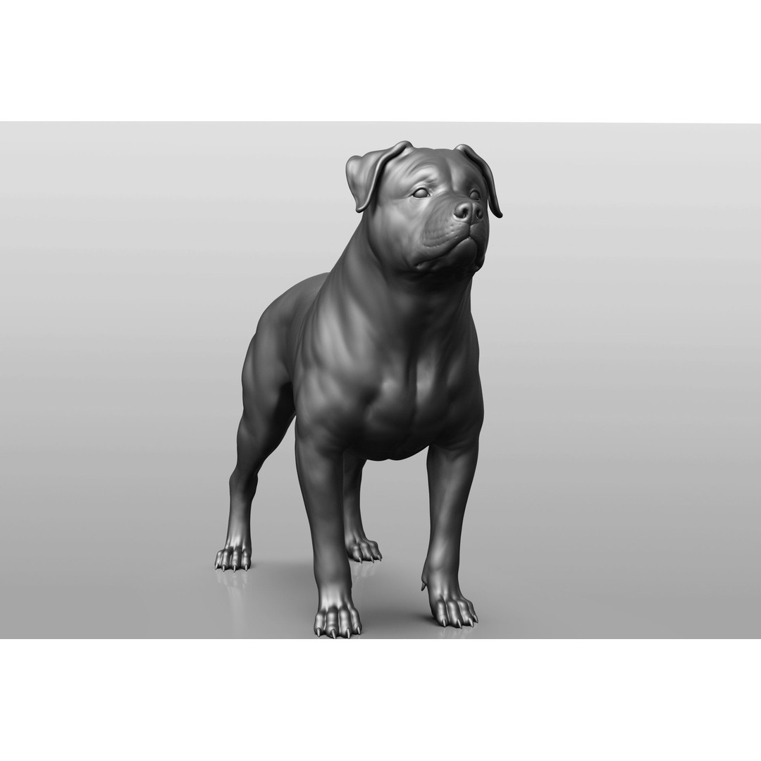 Dog Breed Collection 3D Model – Realistic Animal Pack, OBJ & ZTL - View 20