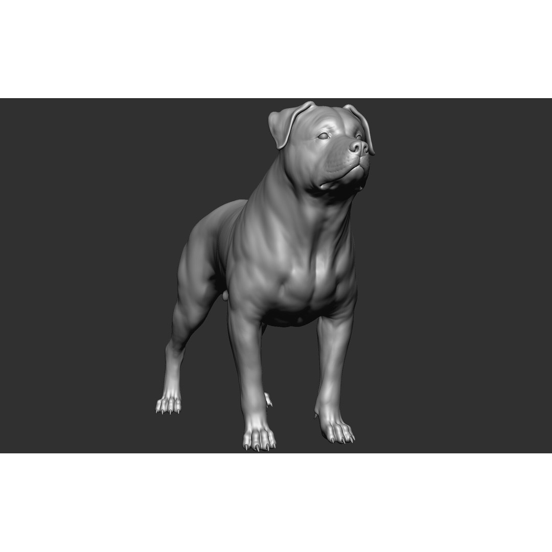 Dog Breed Collection 3D Model – Realistic Animal Pack, OBJ & ZTL - View 24