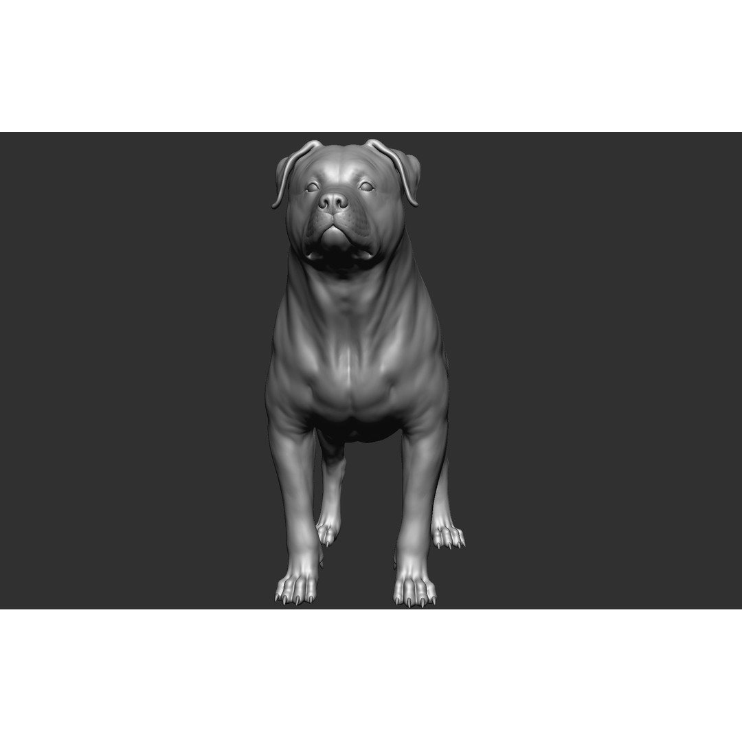 Dog Breed Collection 3D Model – Realistic Animal Pack, OBJ & ZTL - View 28
