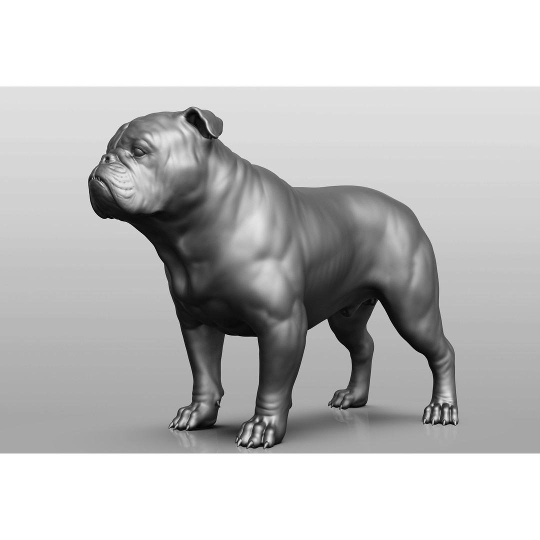 Dog Breed Collection 3D Model – Realistic Animal Pack, OBJ & ZTL - View 3