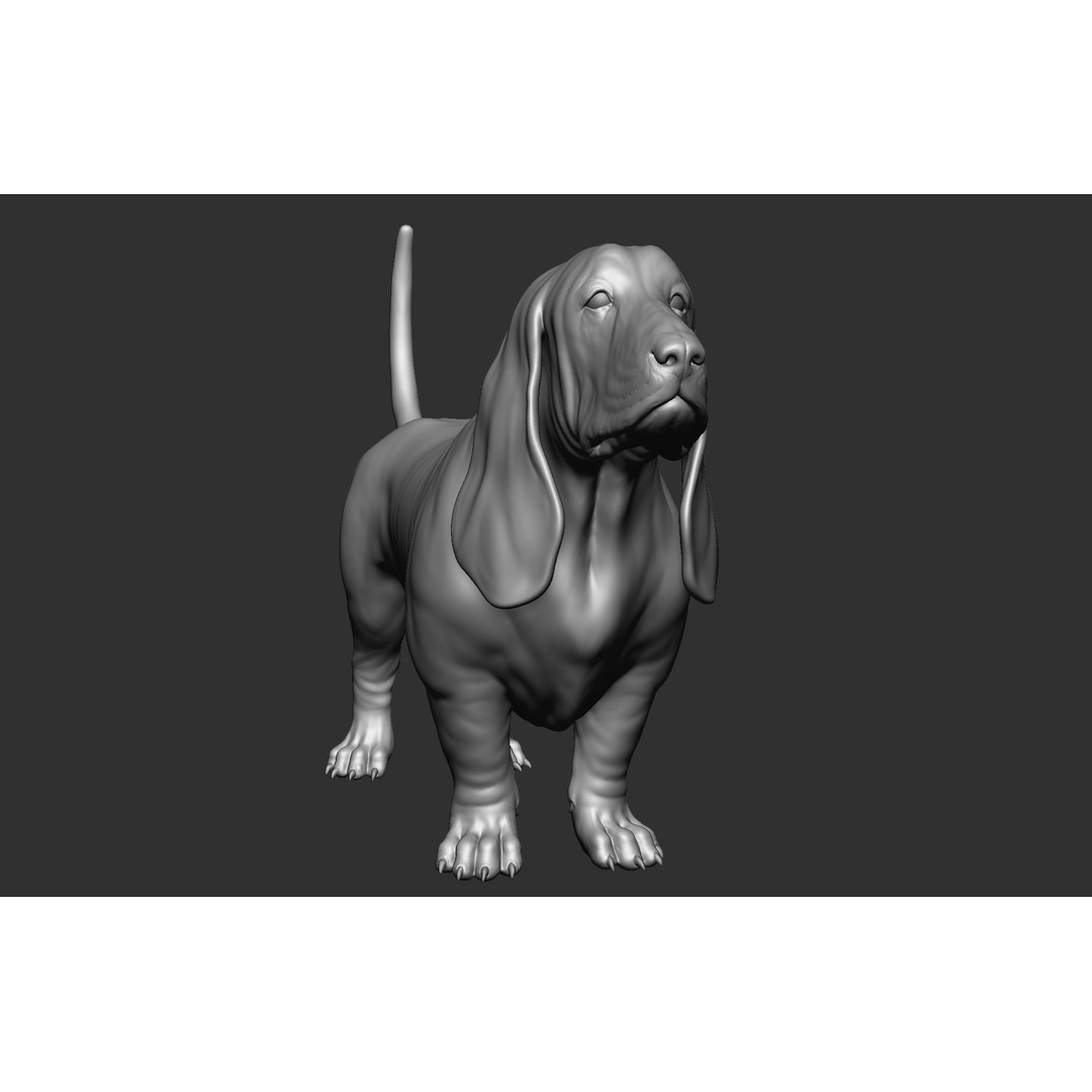 Dog Breed Collection 3D Model – Realistic Animal Pack, OBJ & ZTL - View 39