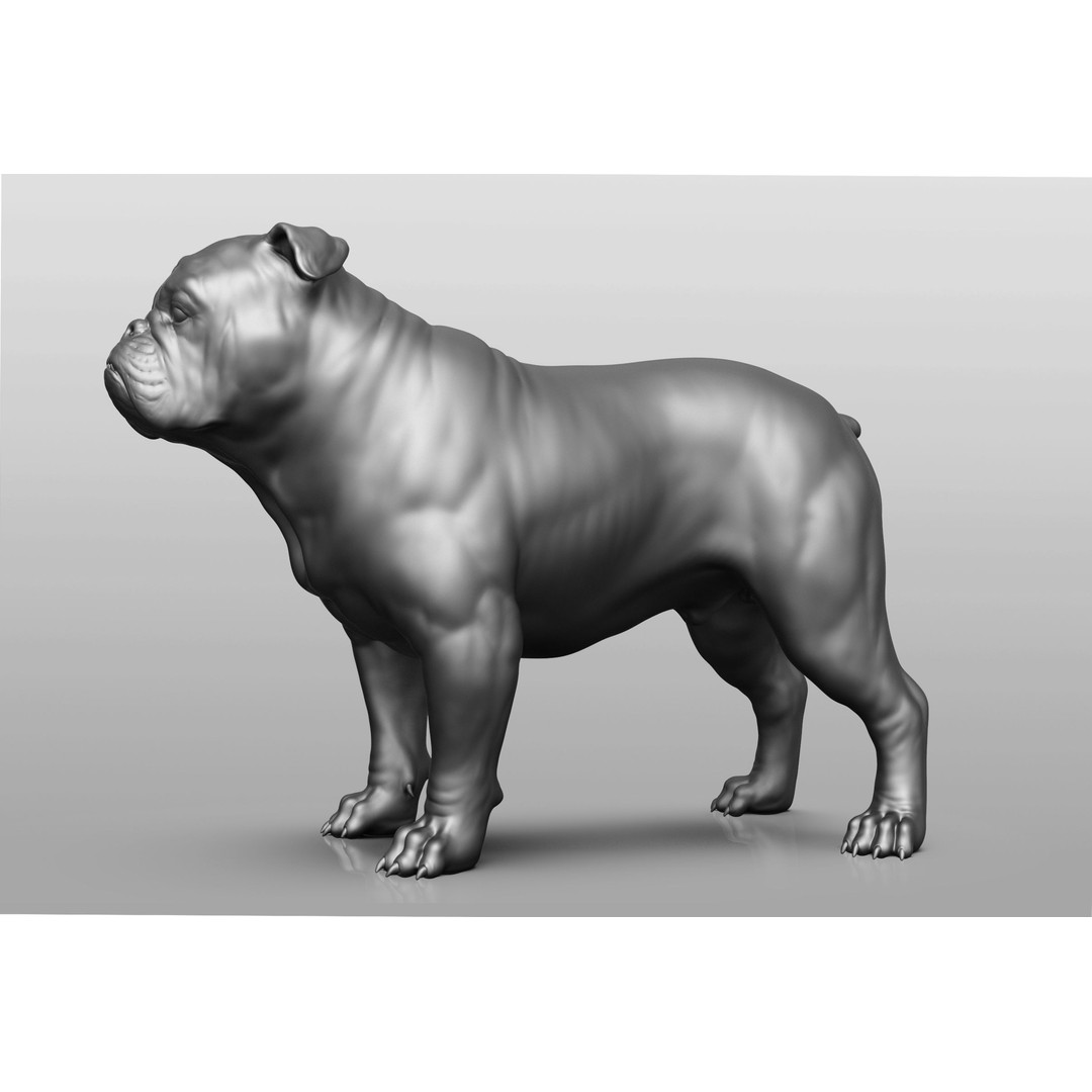 Dog Breed Collection 3D Model – Realistic Animal Pack, OBJ & ZTL - View 4
