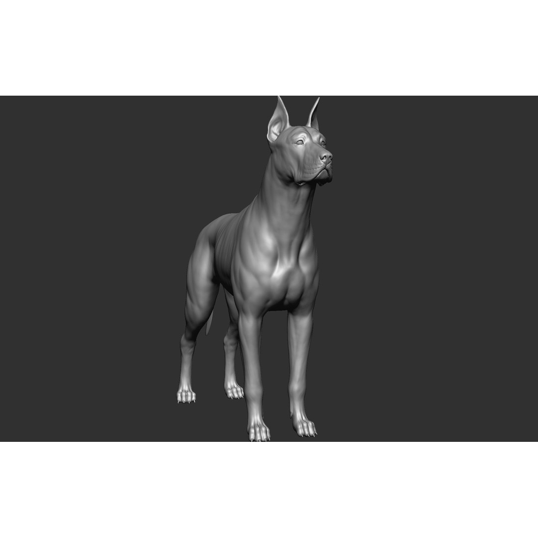 Dog Breed Collection 3D Model – Realistic Animal Pack, OBJ & ZTL - View 44