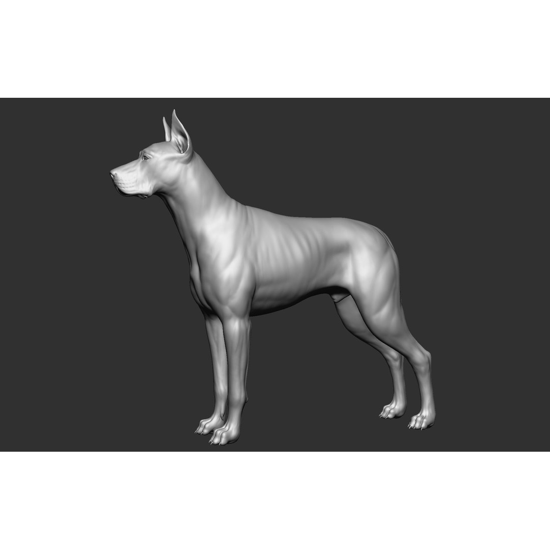 Dog Breed Collection 3D Model – Realistic Animal Pack, OBJ & ZTL - View 46