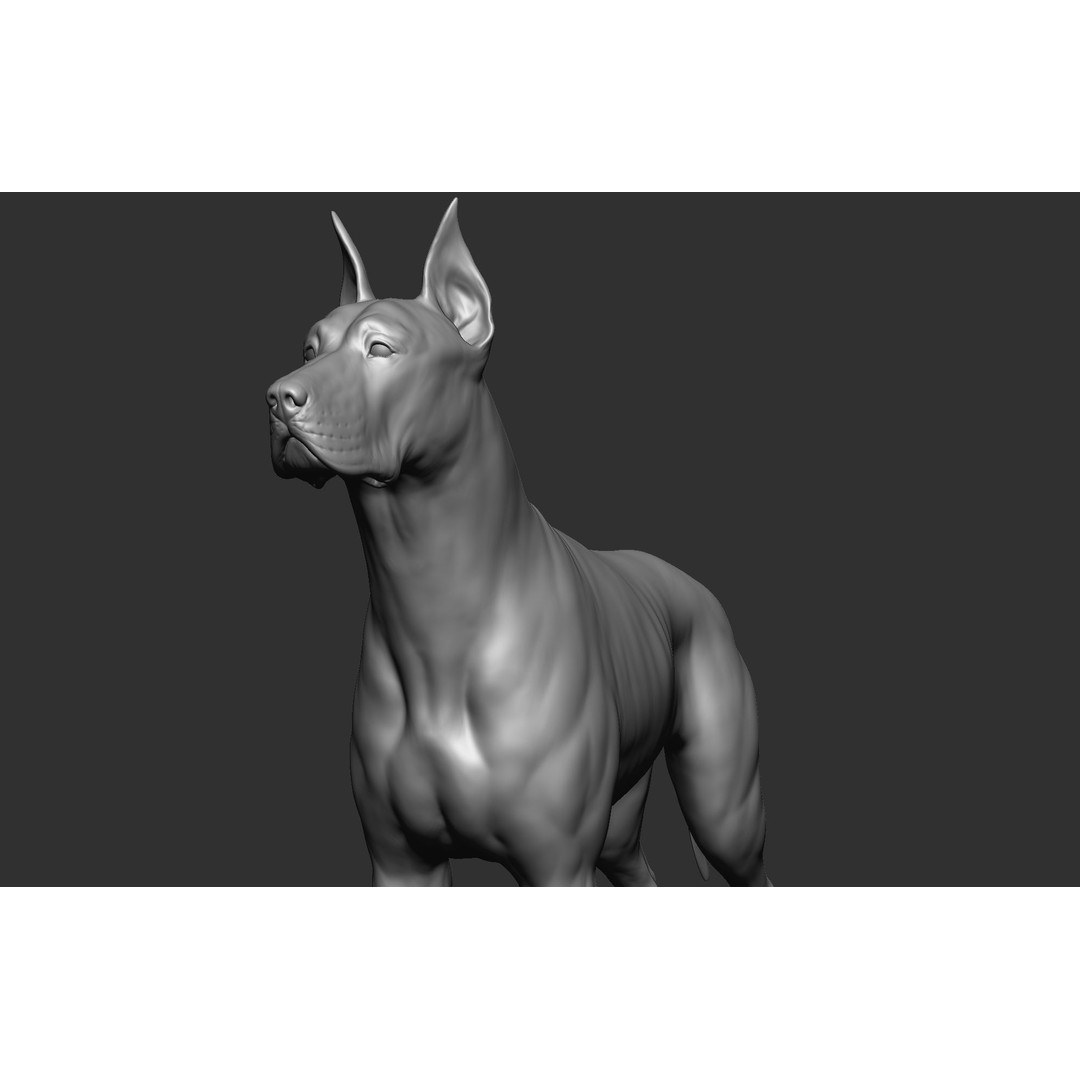 Dog Breed Collection 3D Model – Realistic Animal Pack, OBJ & ZTL - View 47