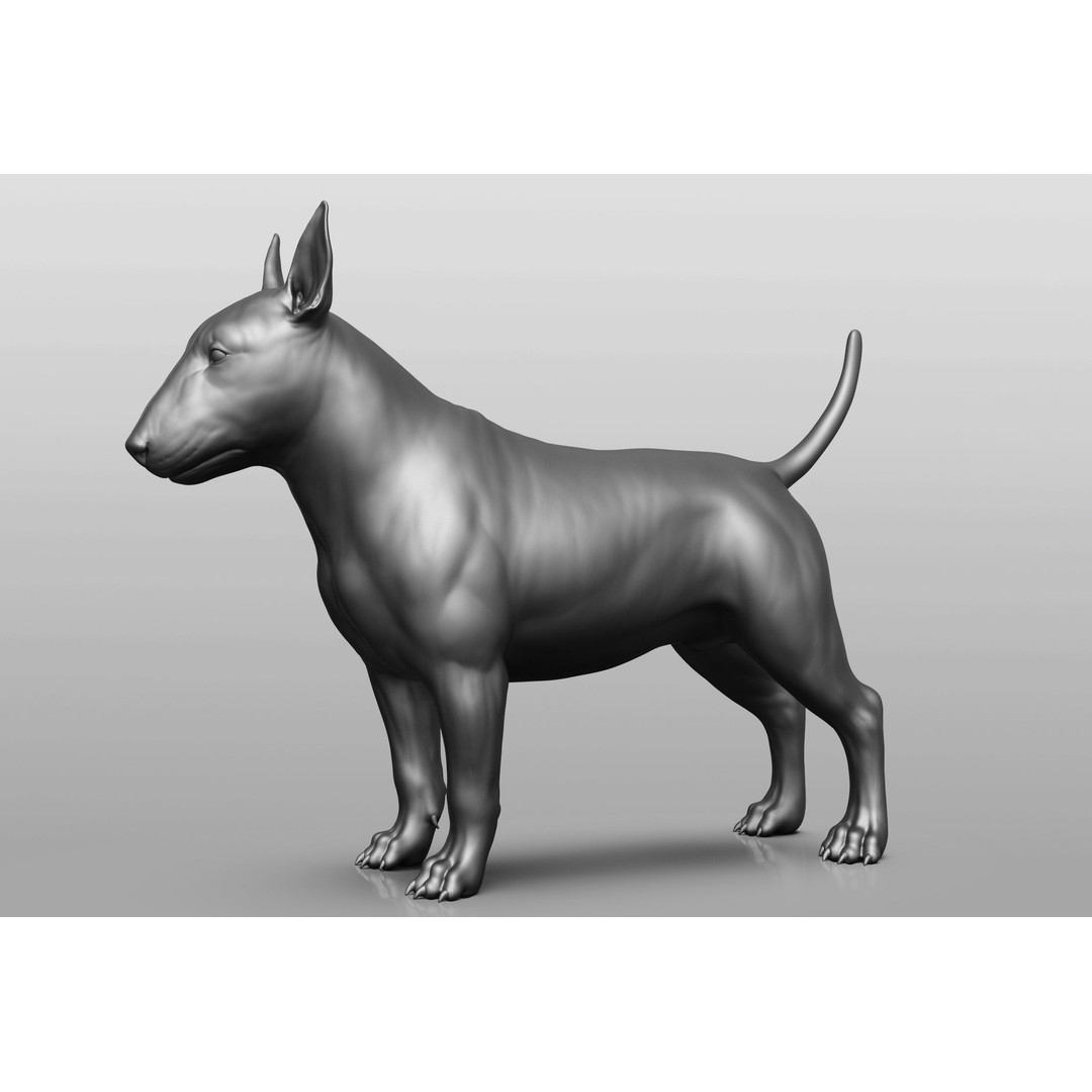 Dog Breed Collection 3D Model – Realistic Animal Pack, OBJ & ZTL - View 48