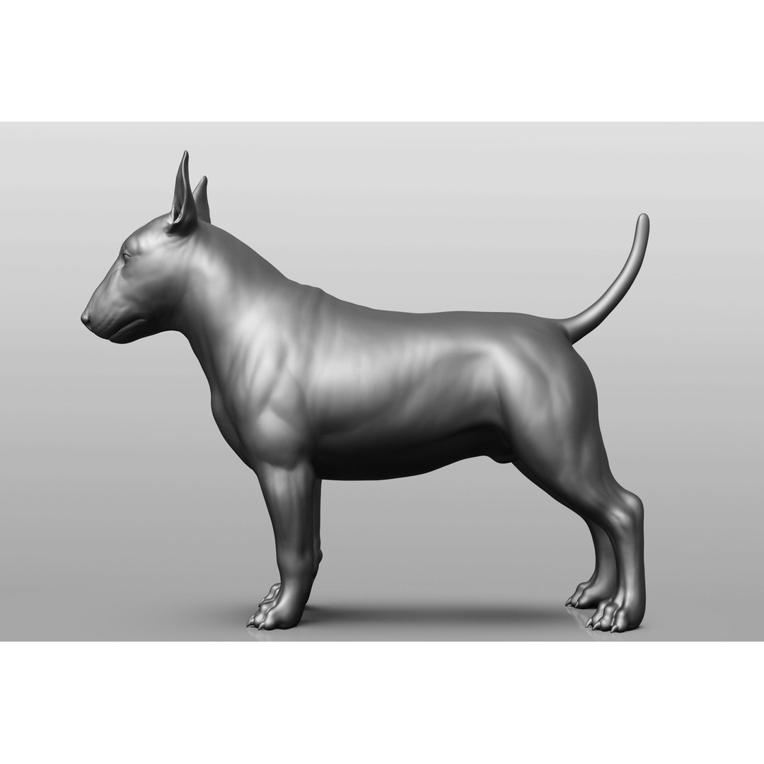 Dog Breed Collection 3D Model – Realistic Animal Pack, OBJ & ZTL - View 49