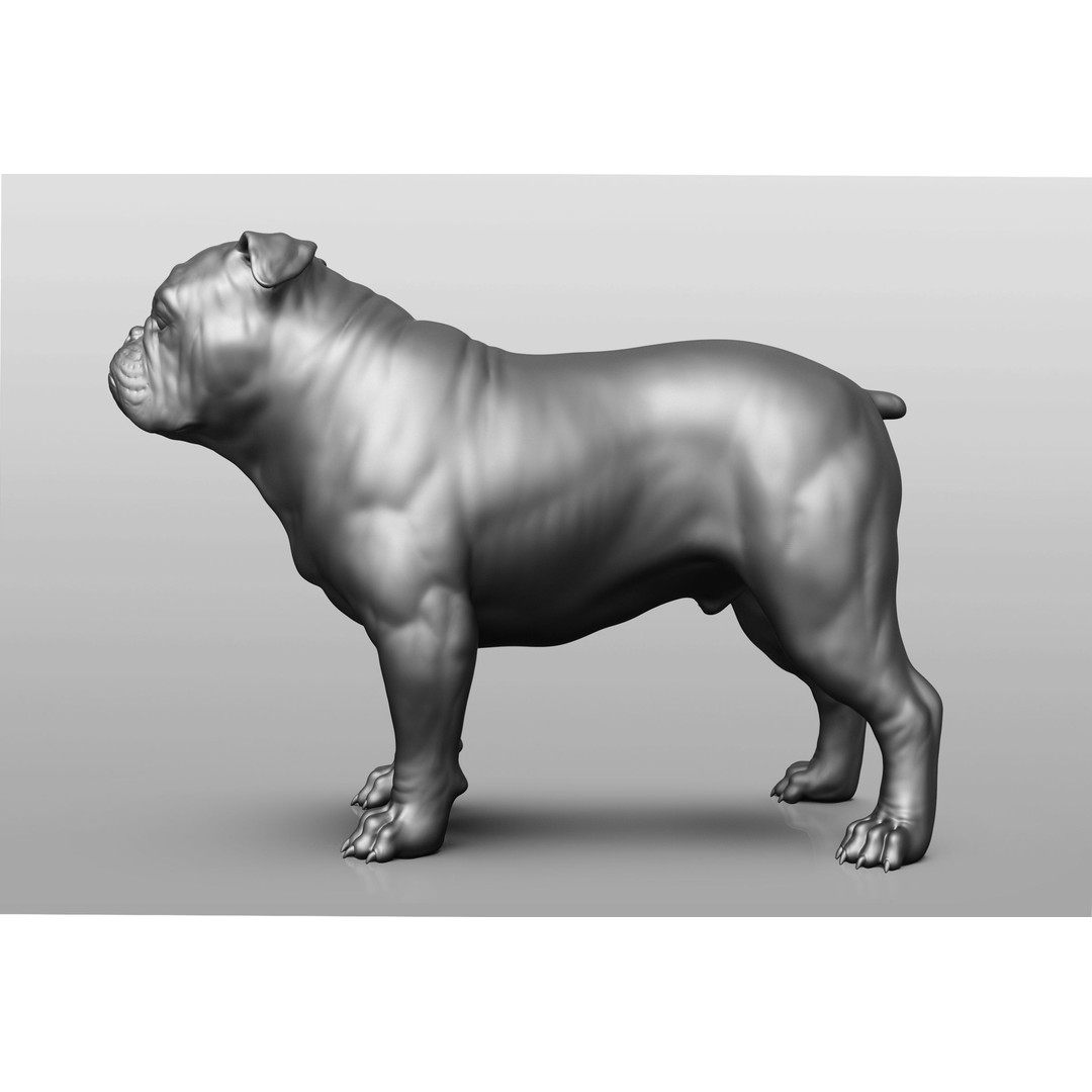 Dog Breed Collection 3D Model – Realistic Animal Pack, OBJ & ZTL - View 5