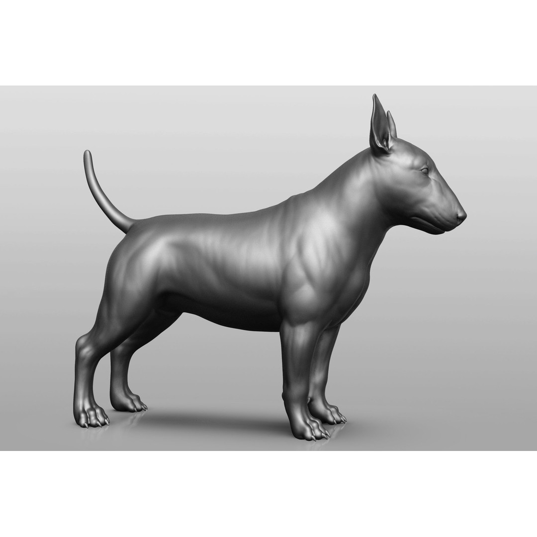 Dog Breed Collection 3D Model – Realistic Animal Pack, OBJ & ZTL - View 50