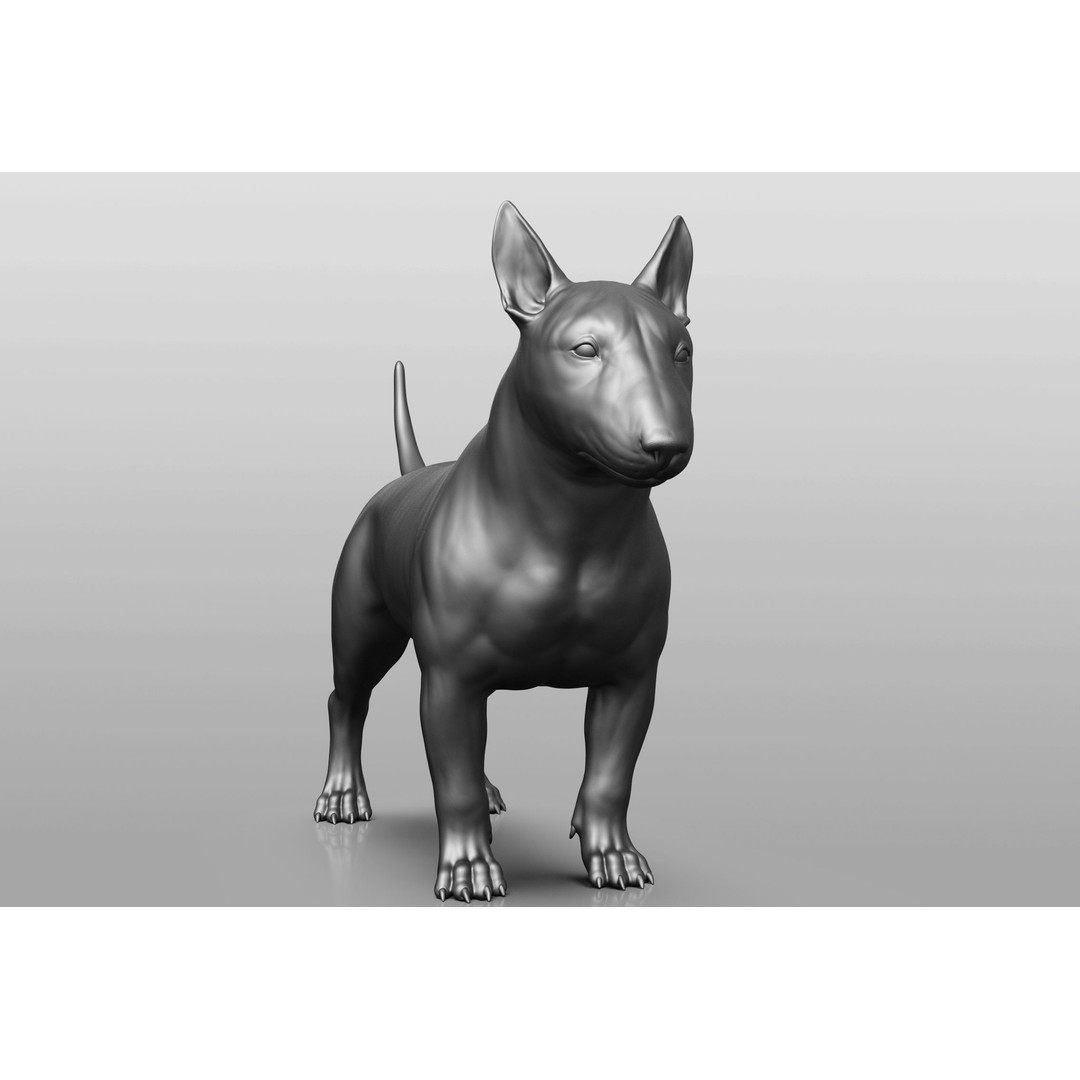 Dog Breed Collection 3D Model – Realistic Animal Pack, OBJ & ZTL - View 51