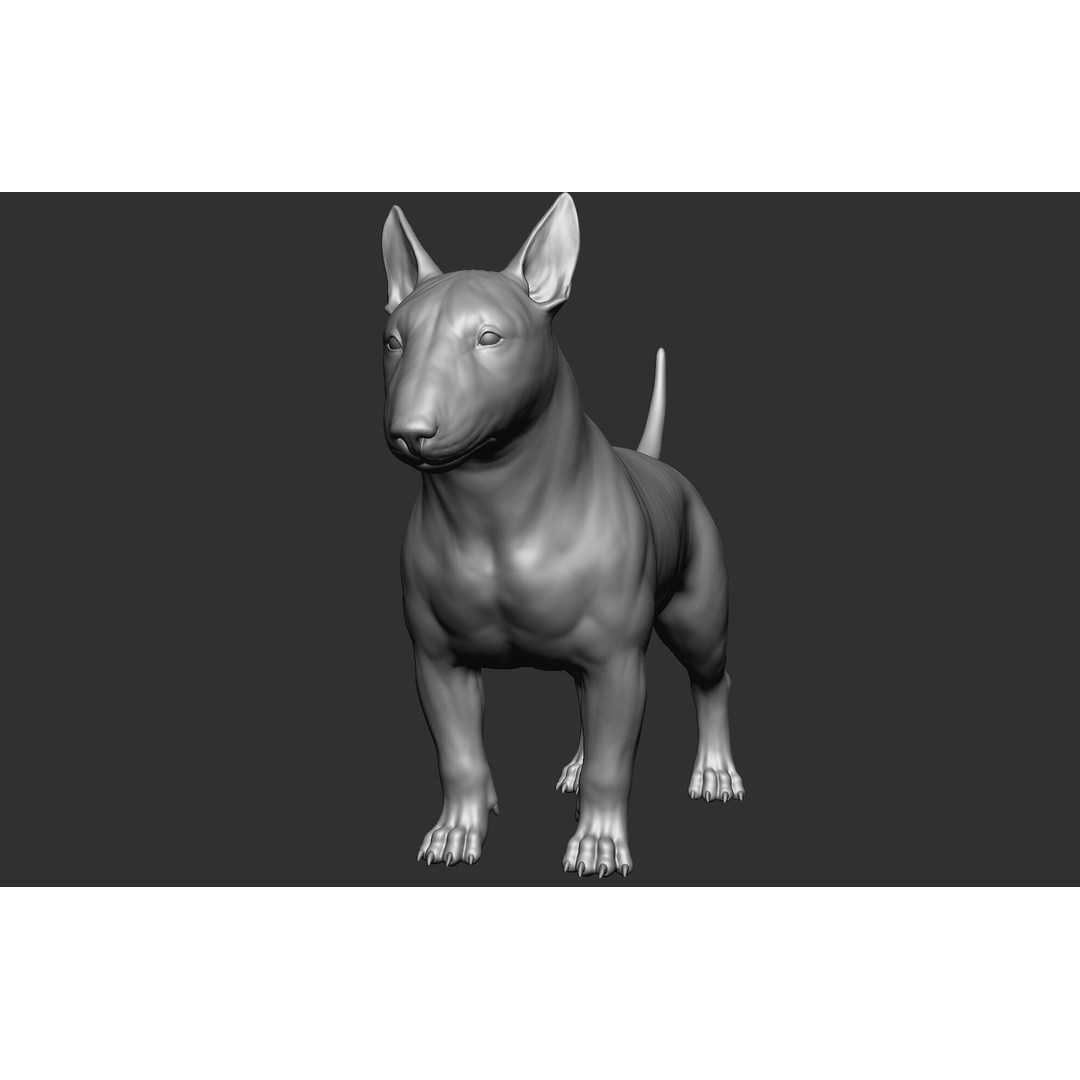 Dog Breed Collection 3D Model – Realistic Animal Pack, OBJ & ZTL - View 52