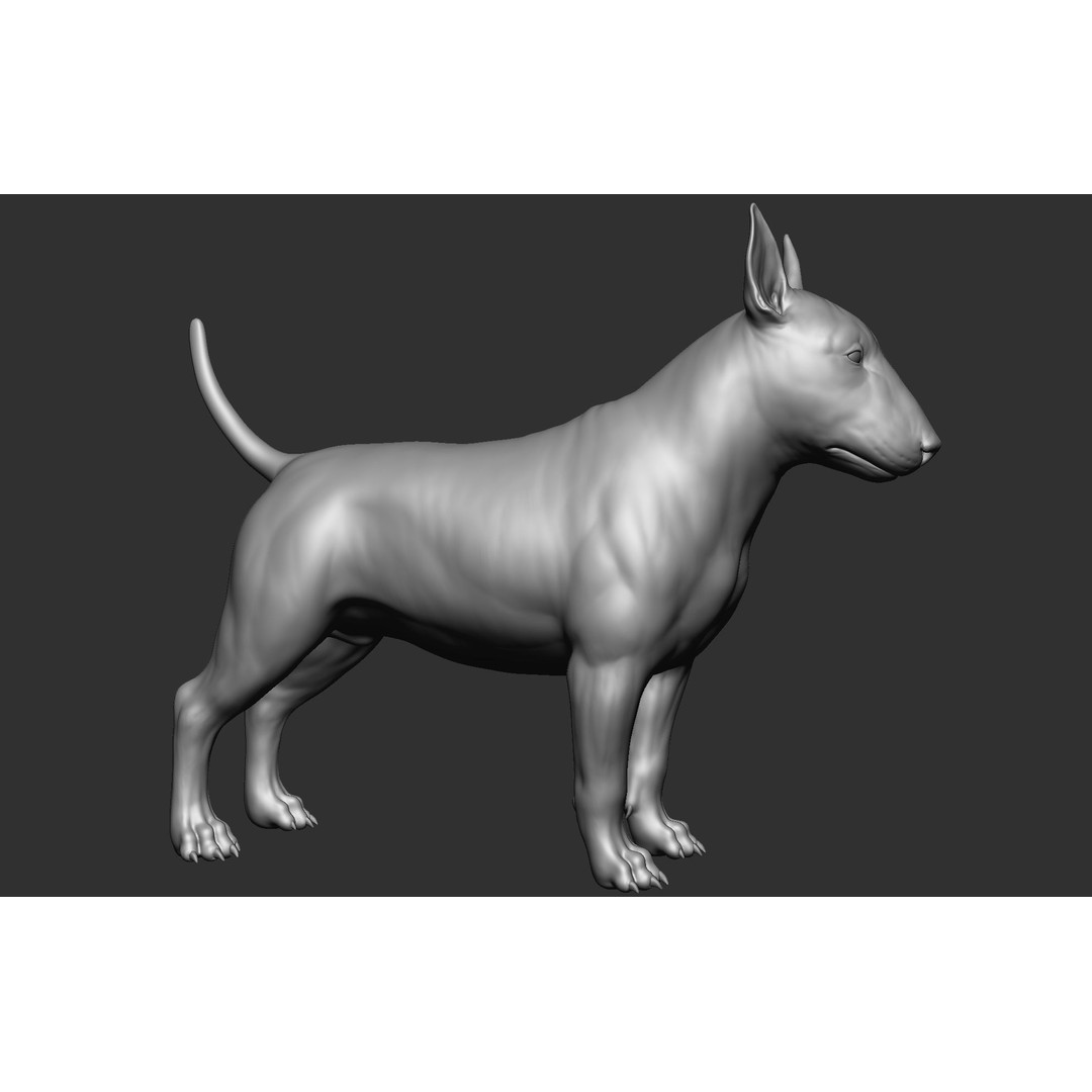 Dog Breed Collection 3D Model – Realistic Animal Pack, OBJ & ZTL - View 53