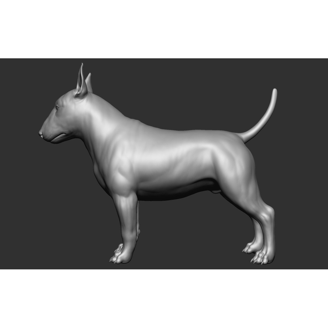 Dog Breed Collection 3D Model – Realistic Animal Pack, OBJ & ZTL - View 54