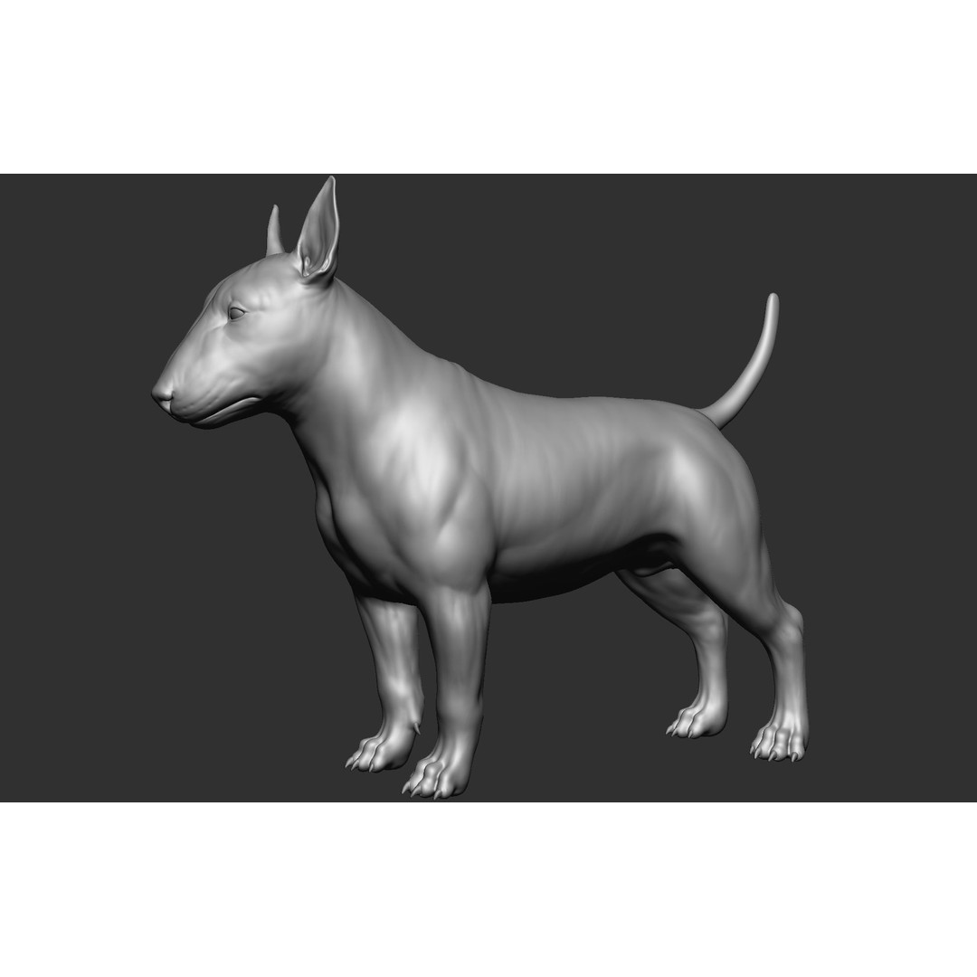 Dog Breed Collection 3D Model – Realistic Animal Pack, OBJ & ZTL - View 55