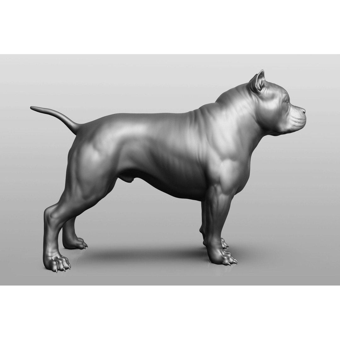 Dog Breed Collection 3D Model – Realistic Animal Pack, OBJ & ZTL - View 56