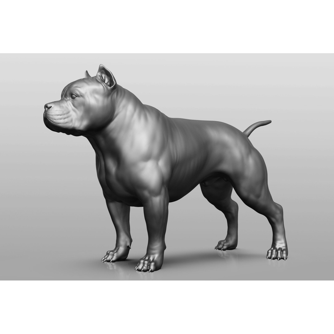 Dog Breed Collection 3D Model – Realistic Animal Pack, OBJ & ZTL - View 57